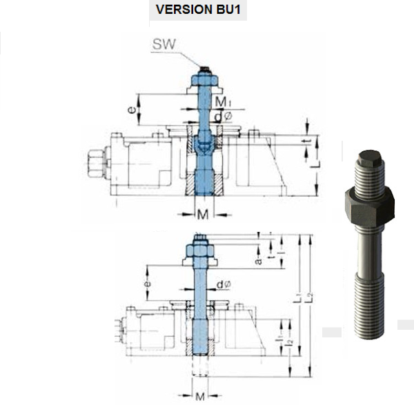 Bu lông cấy nền BU1 FLI